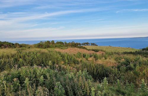 Bracken Cottage - Foto 54