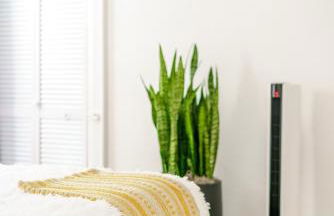 Jungle House Luxury Homes - Columbus Downtown Short North - Walk to Convention Center & Nationwide Arena - Sleeps up to 8 - Free Parking - Over 5,800 Five Stars - Foto 47