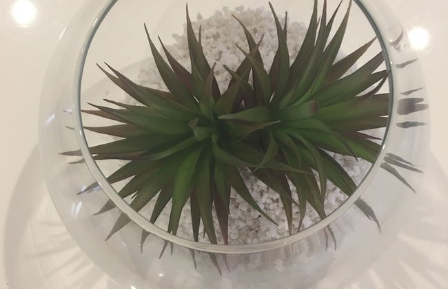 Ivy Units Glen Waverley - Foto 32