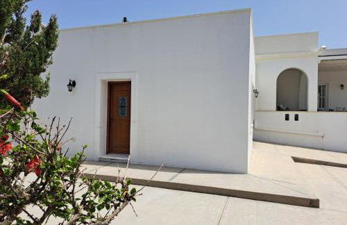 VILLA X Xirokampos Beach Leros - Photo 74