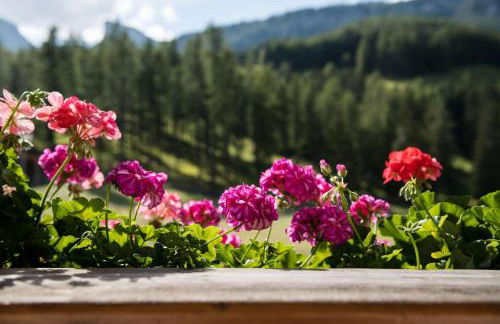 Residence Ciasa Giardun - Photo 8