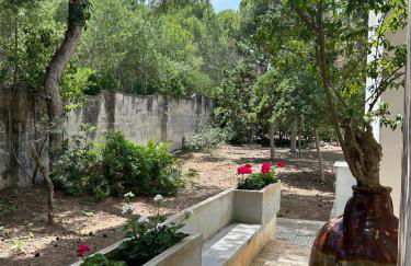 Villa Emma - Foto 12