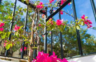 Casa del siglo XVII - Foto 17