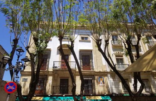 Jerez Centro Historico - Foto 57