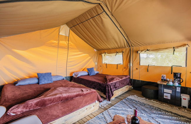 Skyline Ecoliving - Foto 22