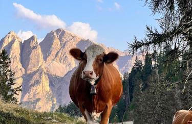 Sottla - your mountain home - Photo 51