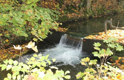 Fewo Waldfeeling - Foto 19