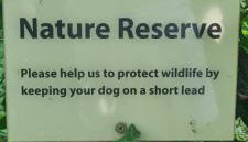 Treetops Studio Apartment - Foto 3