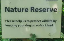 Treetops Studio Apartment - Foto 3