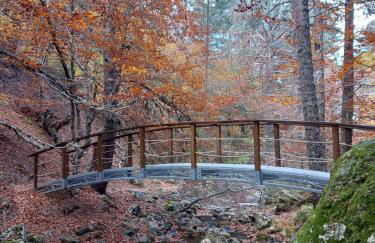 La casa del Alamo - Foto 19