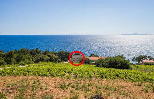 Family friendly seaside apartments Dingac - Borak, Peljesac - 18060 - Foto 1