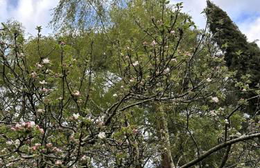 Tranquil home at Westerlands Farm, Sleeps 7, The South Downs - Foto 68