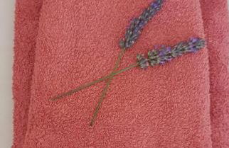 La Maison Verte - Foto 15