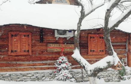 Jabłoniowa Chatka - Foto 11