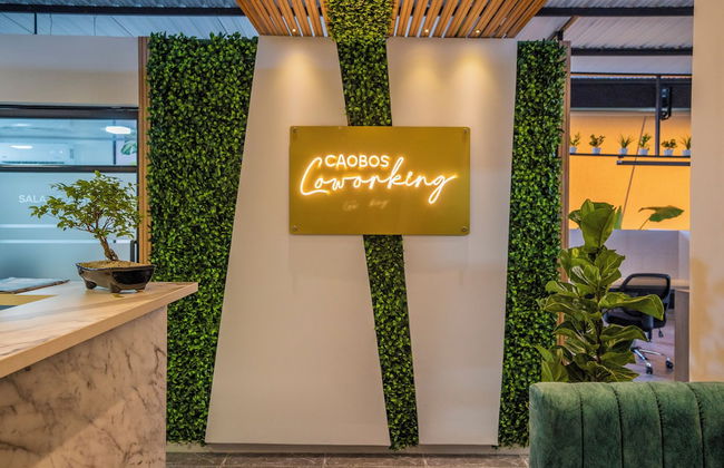 Caobos Center Coliving & Coworking - Foto 64