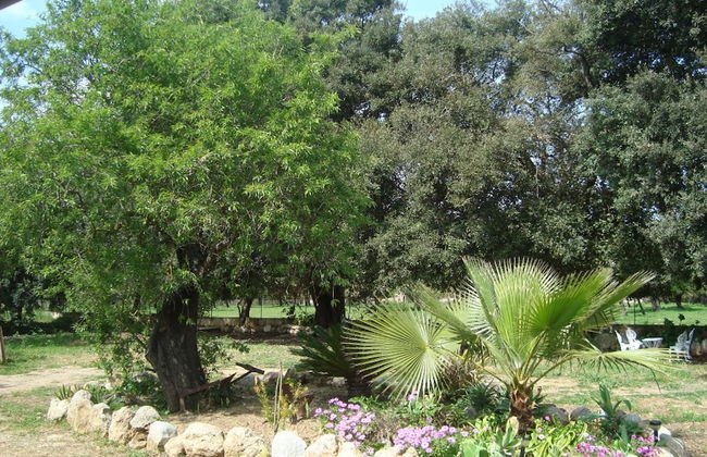 Sa Figuera Blanca in Buger - Foto 29