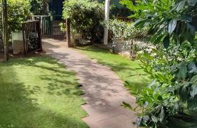 Villa Daria - soggiorno e servizio spiaggia - Foto 23