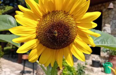 Czytelnia w Sadzie - Foto 37