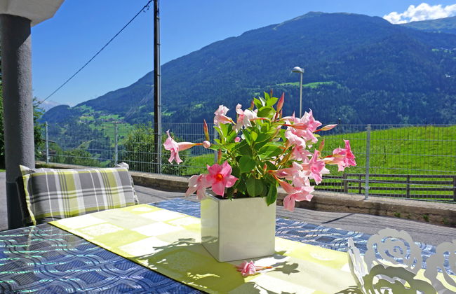 Walzthöni - Foto 29