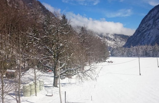 Apartment at the Farm Psnak - Foto 16