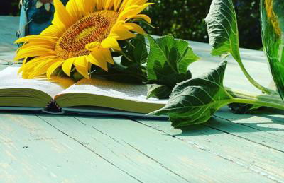 Agriturismo Podere Pizzicagallo - Foto 19