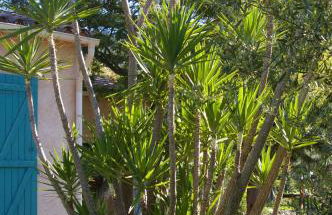 Villa conviviale au soleil avec piscine - Foto 26