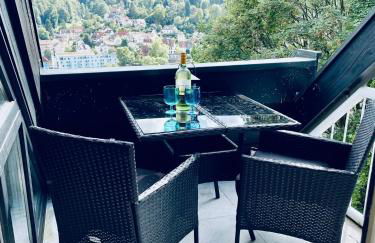 Penthouse Overlooking the Neckar - Foto 1