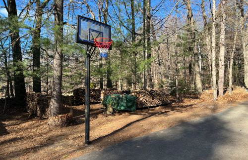 earthship forest exile - Foto 36