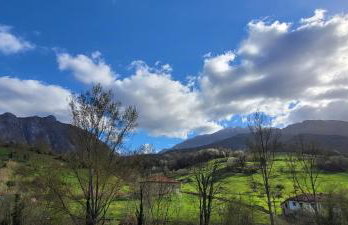 Casa Cabrales - Photo 15