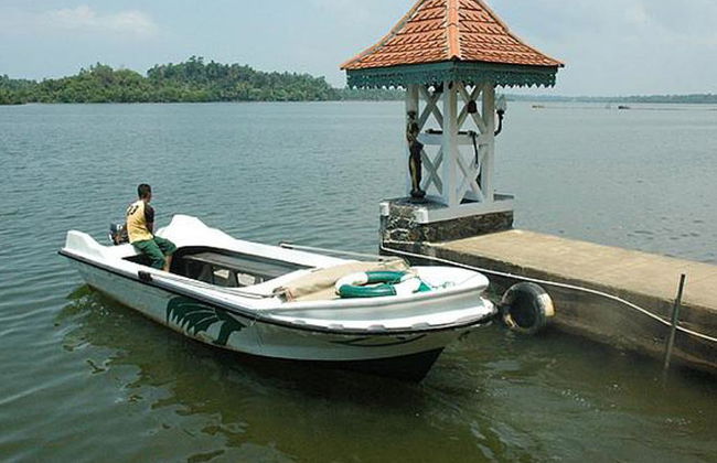 Safari sur le fleuve en anglais - journée complète - Photo 2