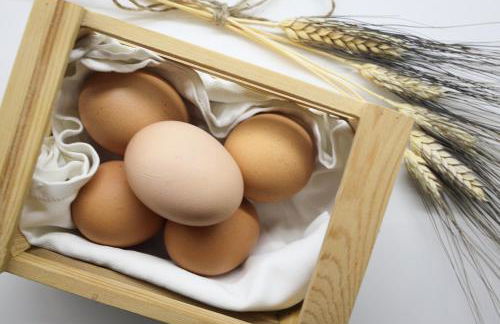 Dimora Pacelli - Foto 25