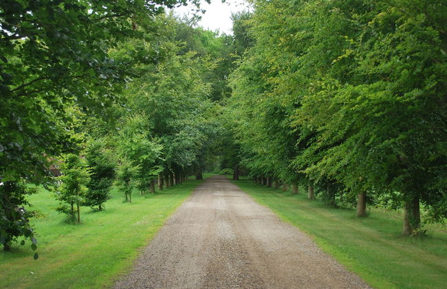 Ferienpark Grafschaft Bentheim - Foto 59