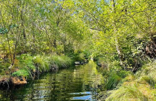 Apartamento Rural Mi Pequeña Lulú TR-CC-00564 - Foto 22