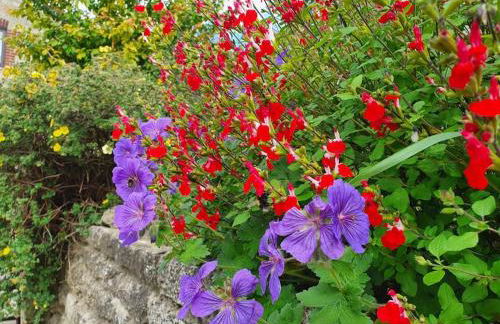 Countryside 3 Bed Detached Cottage - Foto 6