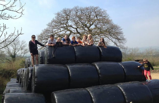 The Mill House at Cwmiar Farm - Relaxing Holidays - Photo 12