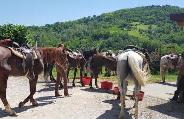 Azienda agricola biologica Le Lucciole - Foto 48
