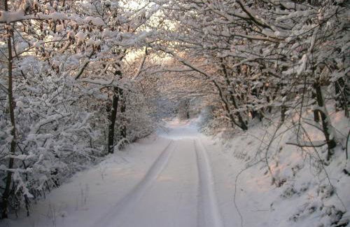 Ferienwohnung-Nuerburgblick - Foto 13
