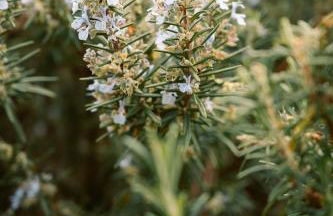 Casa Piana - Foto 21