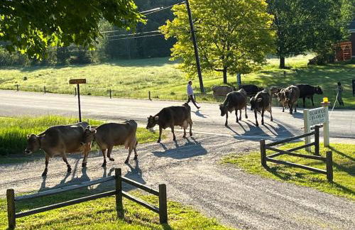 Ski Lodge Mins to White Face Mtn and Lake Placid - Foto 67