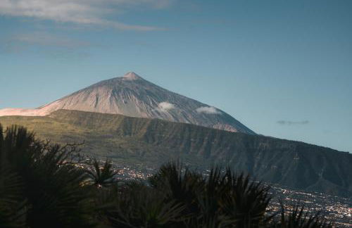 El Refugio Apartments & Villa - Foto 20
