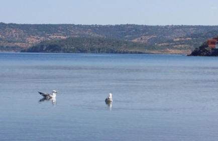 Eleni B&B - Photo 71