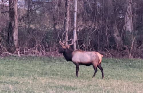 Peace of Heaven, Modern Chic Cabin, Majestic Mountain Views, Hot Tub, Fire Pit, Outdoor Games, Close to Town - Foto 66