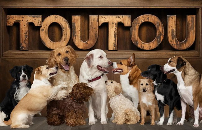 Les gites de la vallée du ceou - Foto 28