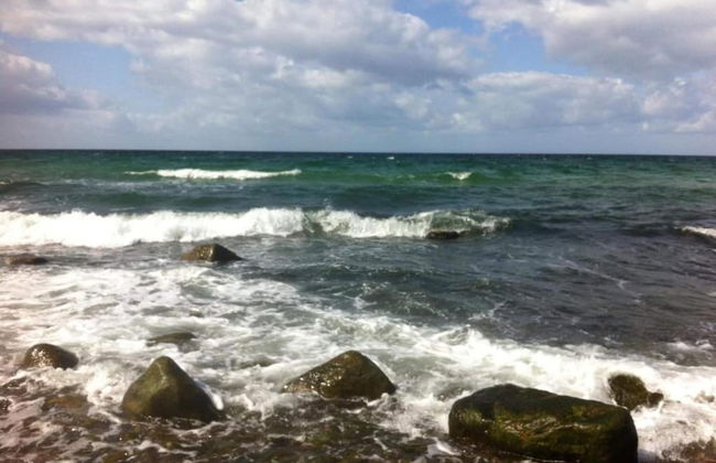 Stilvolle Wohnung mit Garten in Rerik - Foto 37