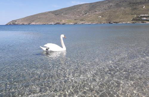Liopi Village Andros - Foto 67