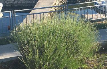 Apartments Suzana - Foto 39