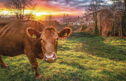 Awesome Home In Montefegatesi With Wifi - Foto 20