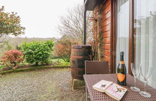 Hilly Field Barn - Foto 20