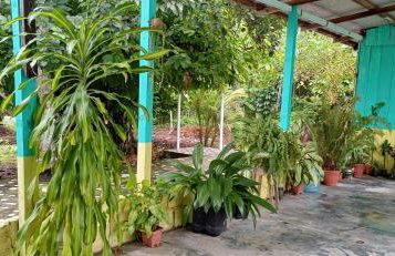 Residencia Moraes 1 - Foto 23