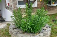 A modern farmhouse with big garden - Foto 23